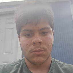 guizmo