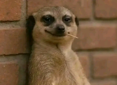 Lee